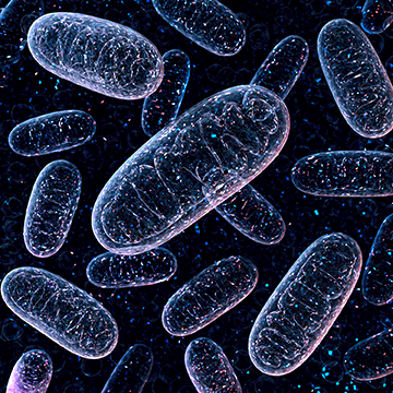 MSK-A2 代謝氨基酸混標(biāo)標(biāo)準(zhǔn)品